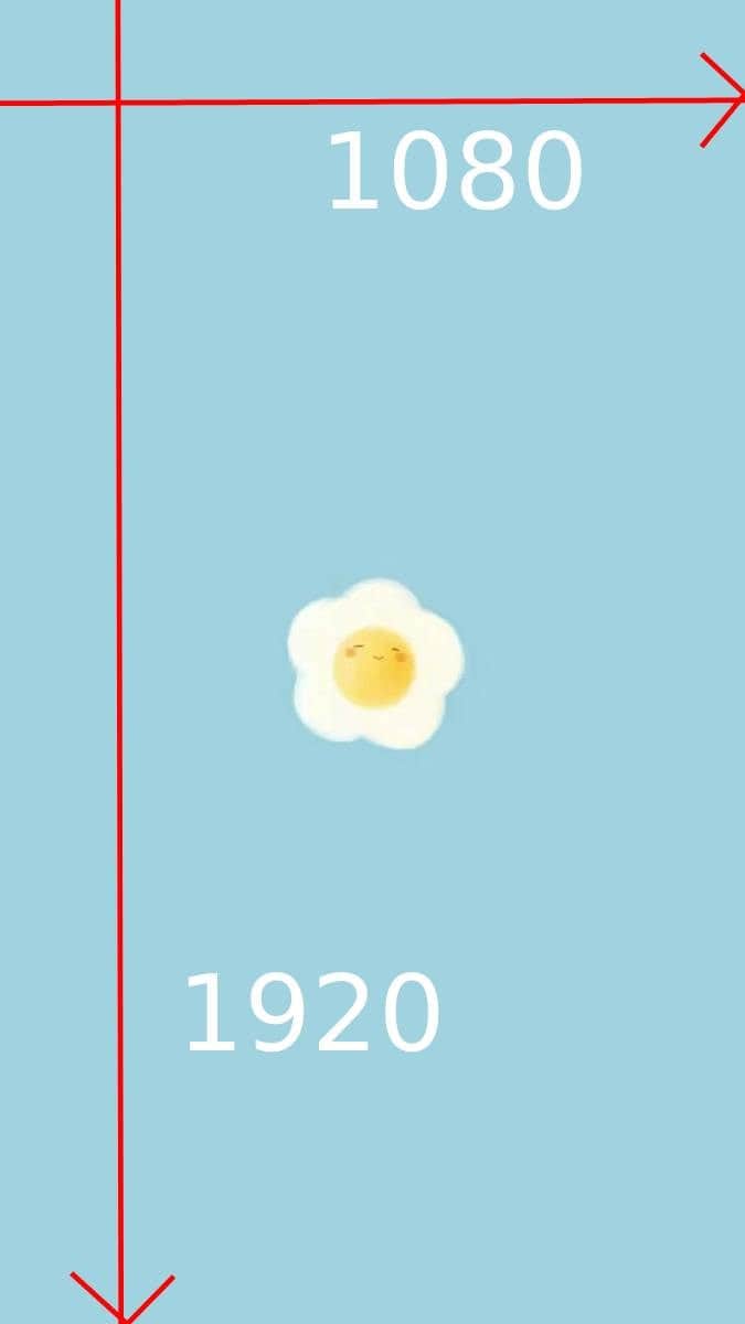 Instagram standard portrait size of stories and reels