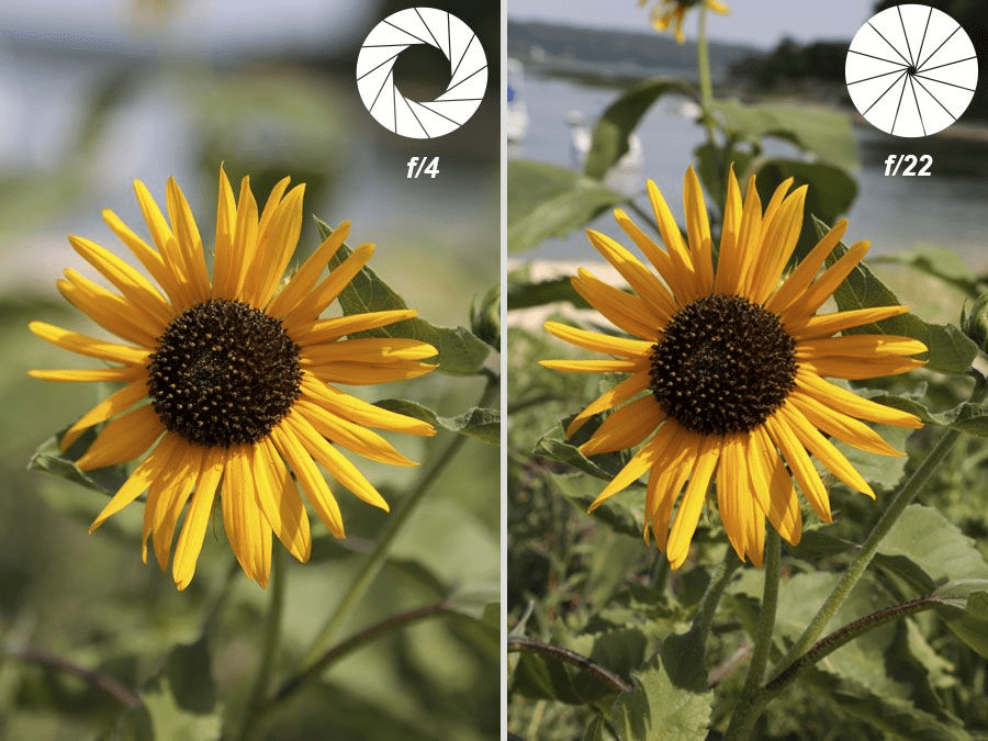 Depth of Field - a HDR Real Estate Photography Tip