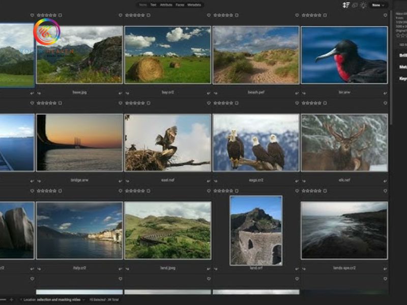 AI Batch Photo Processing – Automation Tools & Techniques